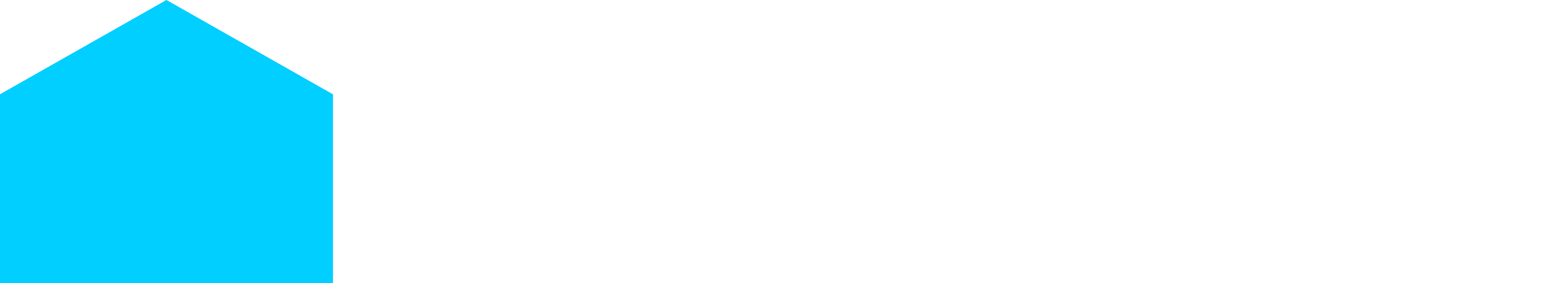 BL Labs Primary logo Negative (RGB)